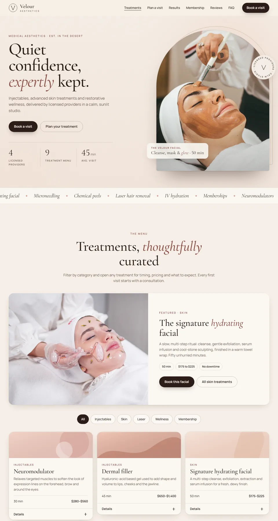 Velour Aesthetics demo home page